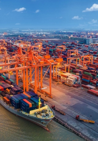 Deep Sea Port & Bio Resources